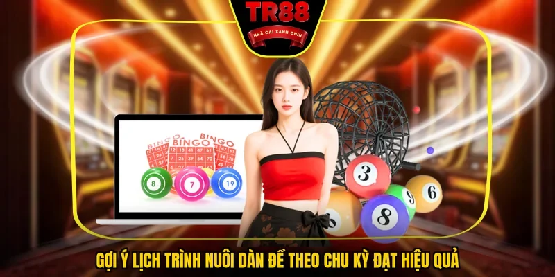 Dàn Đề Bất Tử TR88: 3 Cách Soi Cầu Bách Chiến Bách Thắng - FALCON88.SBS