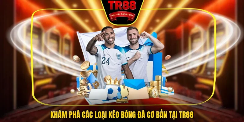 Soi Kèo Bóng Đá Trực Tuyến Hôm Nay Thu Lời X10 Vốn Cược - FALCON88.SBS